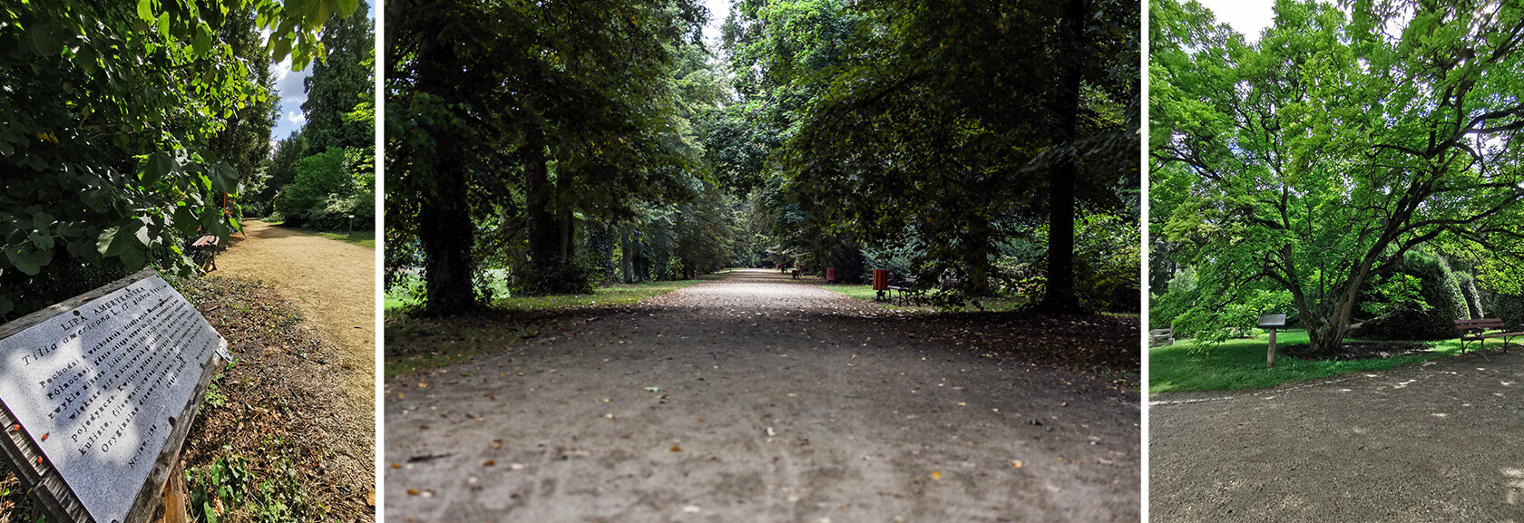 Arboretum Kórnickie