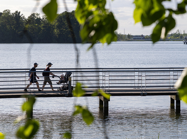 Promenada imienia Wisławy Szymborskiej - Kórnik