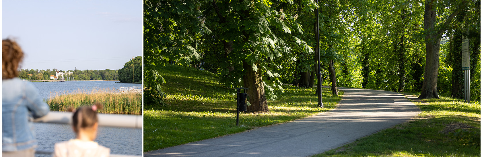 Promenada imienia Wisławy Szymborskiej - Kórnik