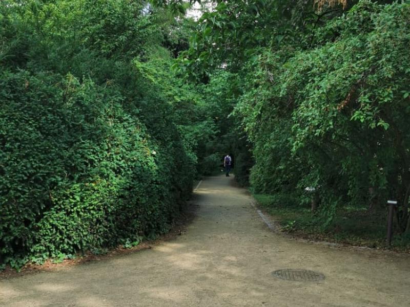 Arboretum Kórnickie