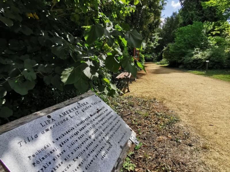 Arboretum Kórnickie