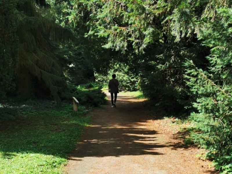 Arboretum Kórnickie