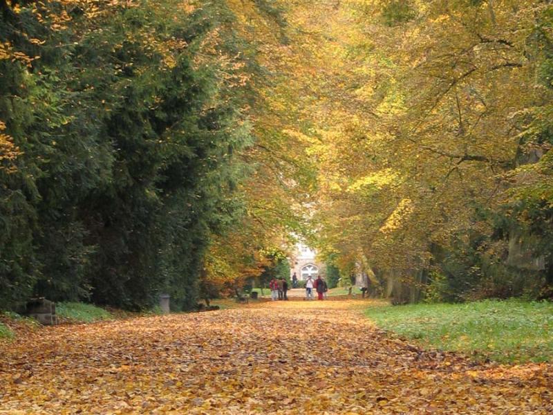 Arboretum Kórnickie