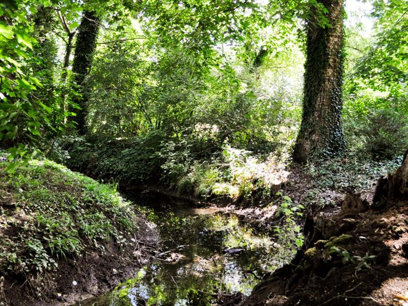 Arboretum Kórnickie - fot. Tomasz Frąckowiak