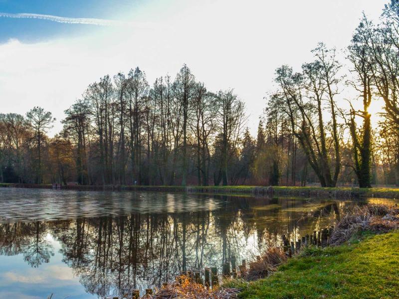 Arboretum Kórnickie - fot. Tomasz Frąckowiak