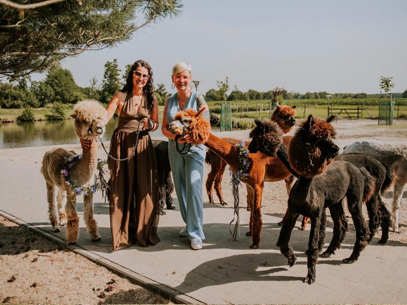 Mini Zoo Gościniec Marzymięta