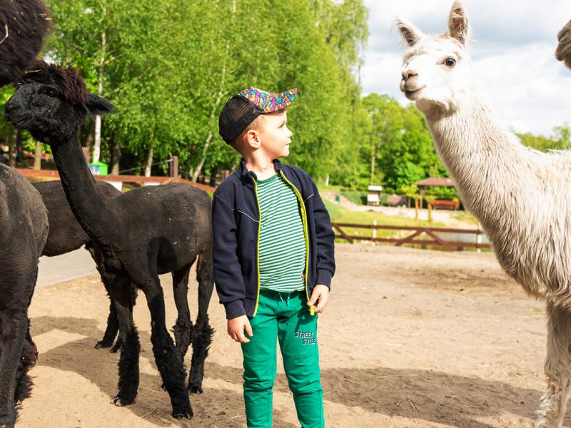 Mini Zoo Gościniec Marzymięta