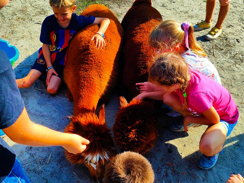 Mini Zoo Gościniec Marzymięta