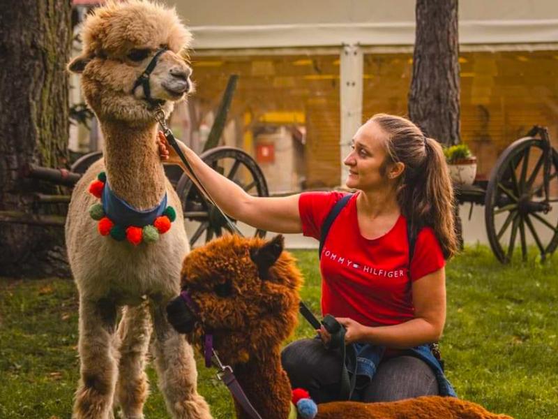 Mini Zoo Gościniec Marzymięta