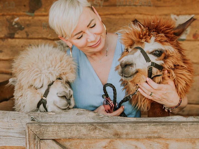 Mini Zoo Gościniec Marzymięta