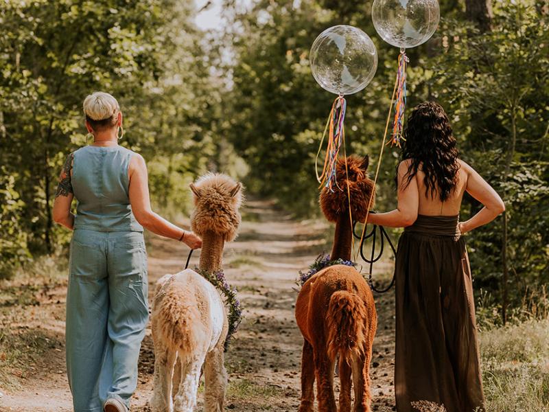 Mini Zoo Gościniec Marzymięta