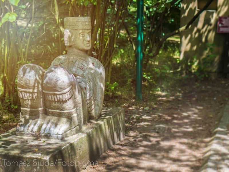 Muzeum Arkadego Fiedlera - Puszczykowko - fot. Tomasz Siuda - zdrona.com