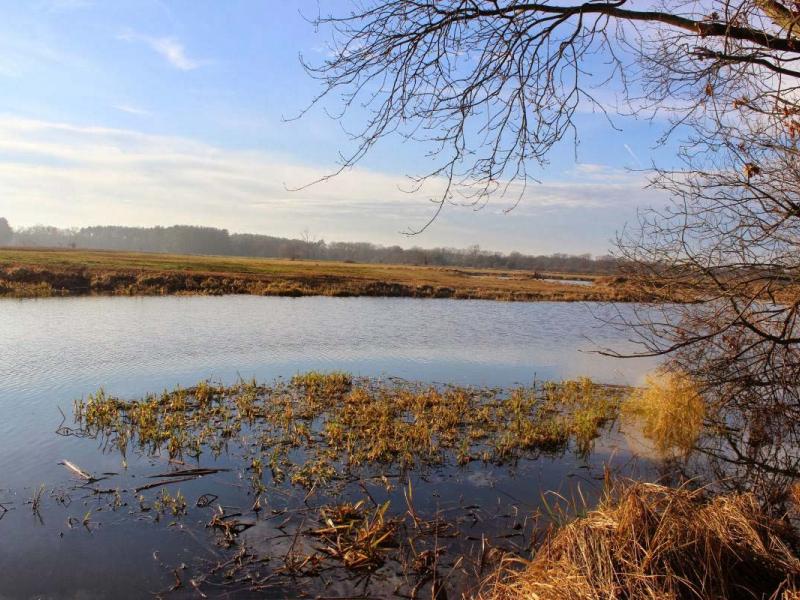 Ścieżka Bobrowy Szlak - Czmoniec - fot. popieramkornik.pl