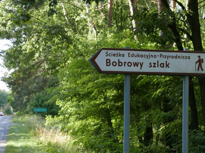 Ścieżka Bobrowy Szlak - Czmoniec